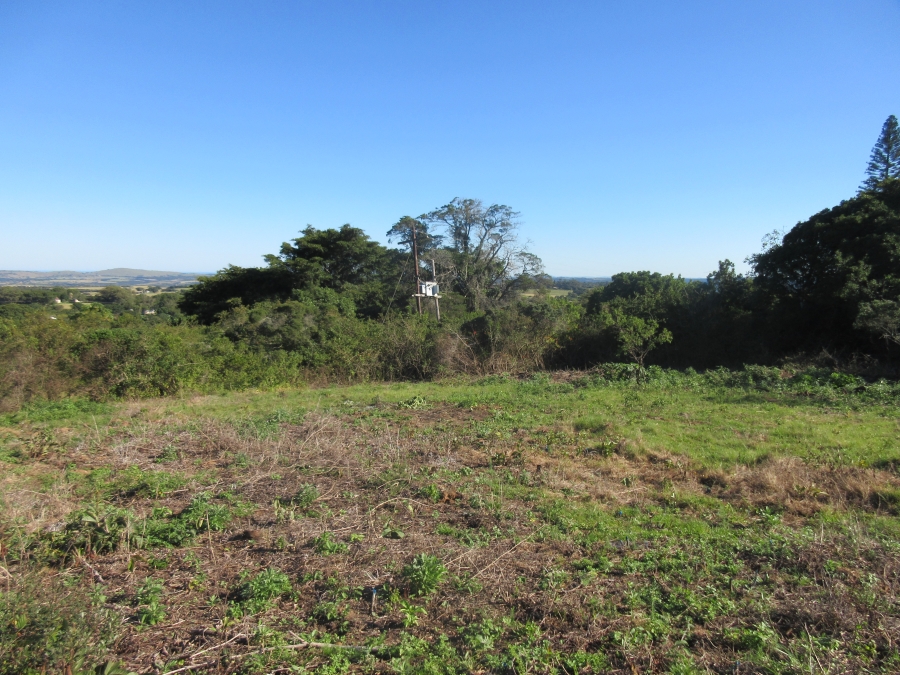 0 Bedroom Property for Sale in Bathurst Eastern Cape